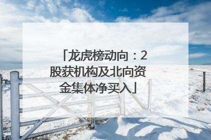 龙虎榜动向：2股获机构及北向资金集体净买入