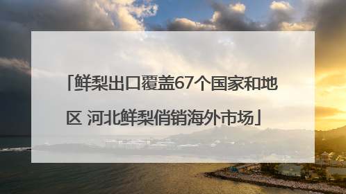 鲜梨出口覆盖67个国家和地区 河北鲜梨俏销海外市场