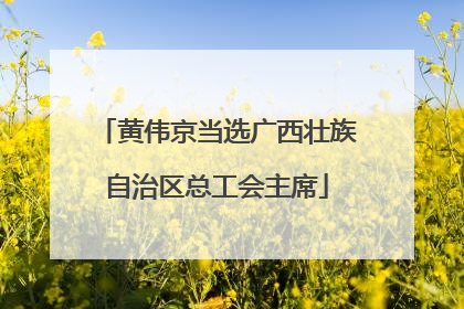 黄伟京当选广西壮族自治区总工会主席