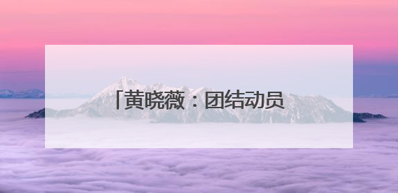 黄晓薇：团结动员妇女为海南自贸港建设贡献巾帼力量