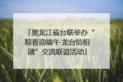 黑龙江省台联举办“粽香迎端午·龙台情相融”交流联谊活动