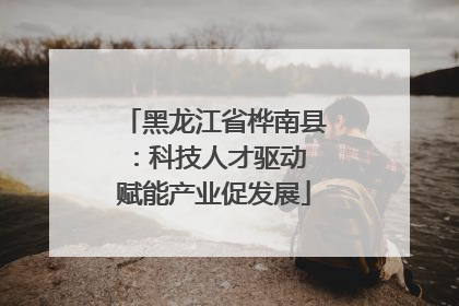 黑龙江省桦南县：科技人才驱动 赋能产业促发展