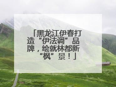 黑龙江伊春打造“伊法调”品牌，绘就林都新“枫”景！