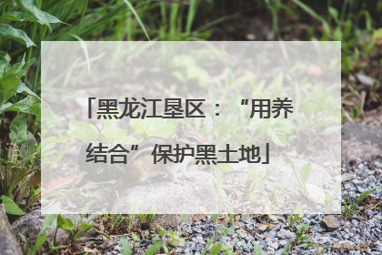 黑龙江垦区：“用养结合”保护黑土地