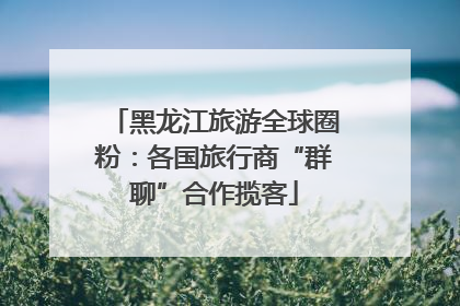 黑龙江旅游全球圈粉：各国旅行商“群聊”合作揽客