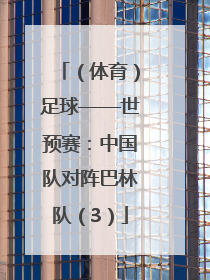 （体育）足球——世预赛：中国队对阵巴林队（3）