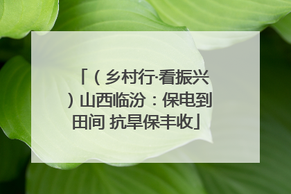 （乡村行·看振兴）山西临汾：保电到田间 抗旱保丰收