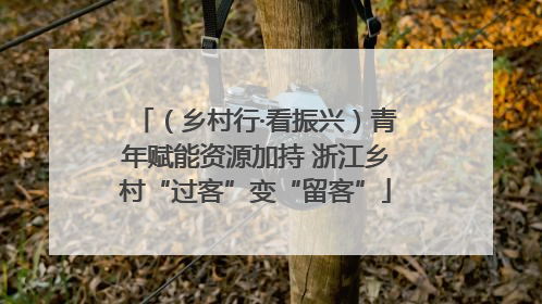 （乡村行·看振兴）青年赋能资源加持 浙江乡村“过客”变“留客”