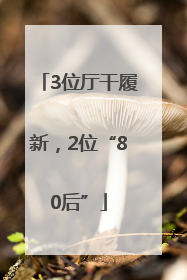 3位厅干履新，2位“80后”