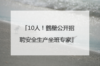 10人！鹤壁公开招聘安全生产坐班专家