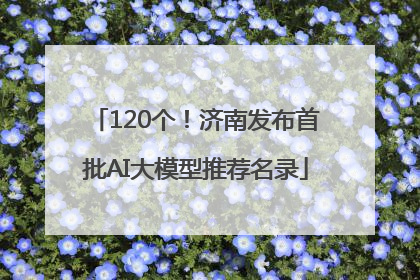 120个！济南发布首批AI大模型推荐名录