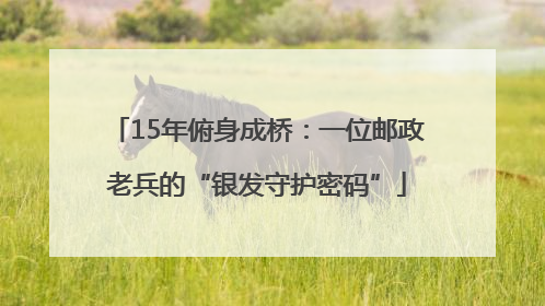 15年俯身成桥：一位邮政老兵的“银发守护密码”