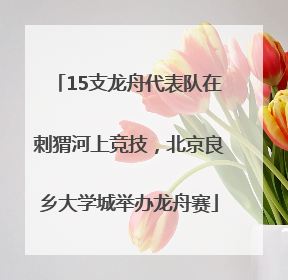 15支龙舟代表队在刺猬河上竞技，北京良乡大学城举办龙舟赛