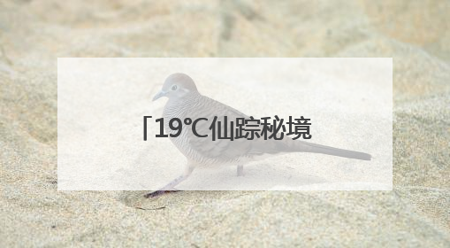 19℃仙踪秘境丨南漳这里有个天然“空调房”！