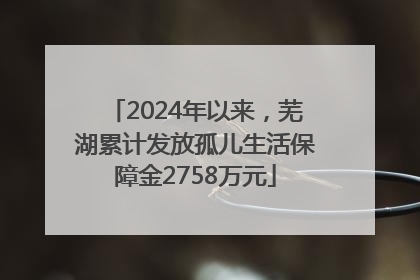 2024年以来，芜湖累计发放孤儿生活保障金2758万元