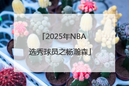 2025年NBA选秀球员之杨瀚森