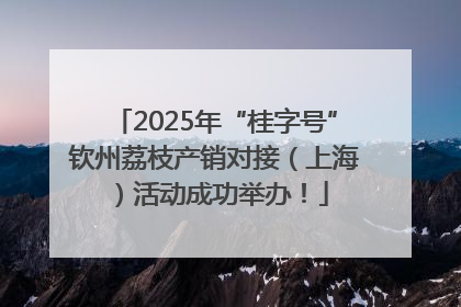 2025年“桂字号”钦州荔枝产销对接（上海）活动成功举办！