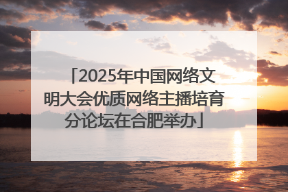 2025年中国网络文明大会优质网络主播培育分论坛在合肥举办