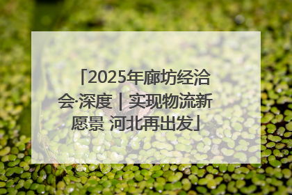 2025年廊坊经洽会·深度｜实现物流新愿景 河北再出发