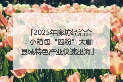 2025年廊坊经洽会：小箱包“圈粉”大咖 县域特色产业快速出海