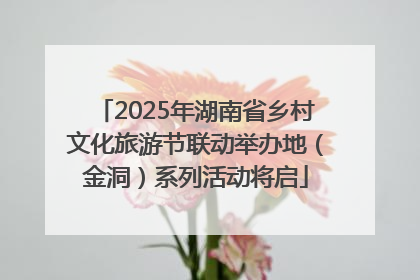 2025年湖南省乡村文化旅游节联动举办地（金洞）系列活动将启