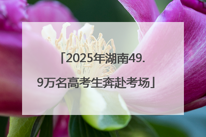 2025年湖南49.9万名高考生奔赴考场