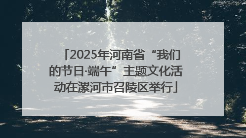2025年河南省“我们的节日·端午”主题文化活动在漯河市召陵区举行