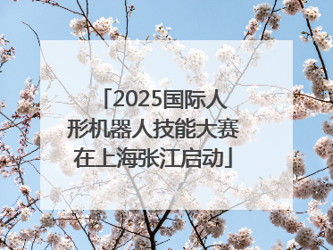 2025国际人形机器人技能大赛在上海张江启动
