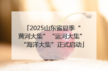 2025山东省夏季“黄河大集”“运河大集”“海洋大集”正式启动