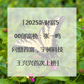 2025新财富500创富榜：张一鸣问鼎首富，宇树科技王兴兴首次上榜