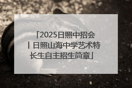 2025日照中招会丨日照山海中学艺术特长生自主招生简章