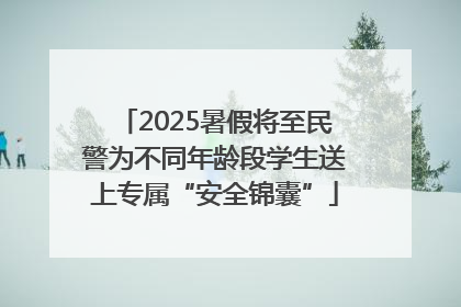 2025暑假将至民警为不同年龄段学生送上专属“安全锦囊”