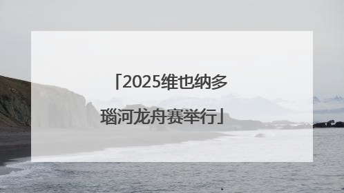 2025维也纳多瑙河龙舟赛举行