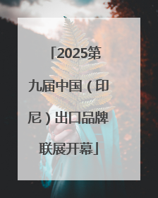 2025第九届中国（印尼）出口品牌联展开幕