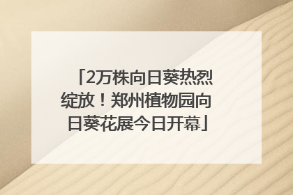 2万株向日葵热烈绽放！郑州植物园向日葵花展今日开幕