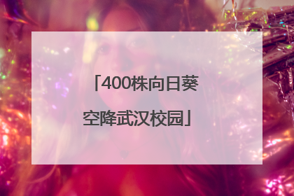 400株向日葵空降武汉校园