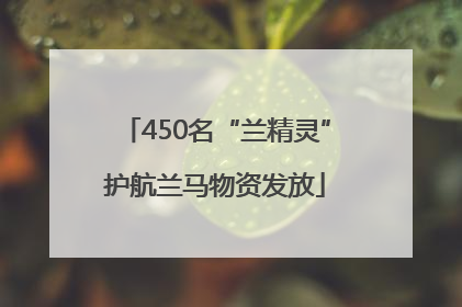 450名“兰精灵”护航兰马物资发放