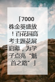 7000株金葵盛放！百花园高考主题花展启幕，为学子点亮“魁首之路”