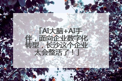 AI大脑+AI手伴，面向企业数字化转型，长沙这个企业太会整活了！
