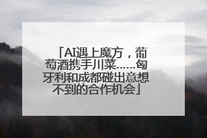 AI遇上魔方，葡萄酒携手川菜……匈牙利和成都碰出意想不到的合作机会