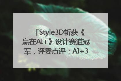 Style3D斩获《赢在AI+》设计赛道冠军，评委点评：AI+3D技术世界第一